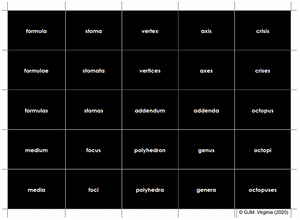 Singular and Plural Nouns Material