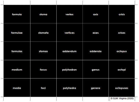 Singular and Plural Nouns Material